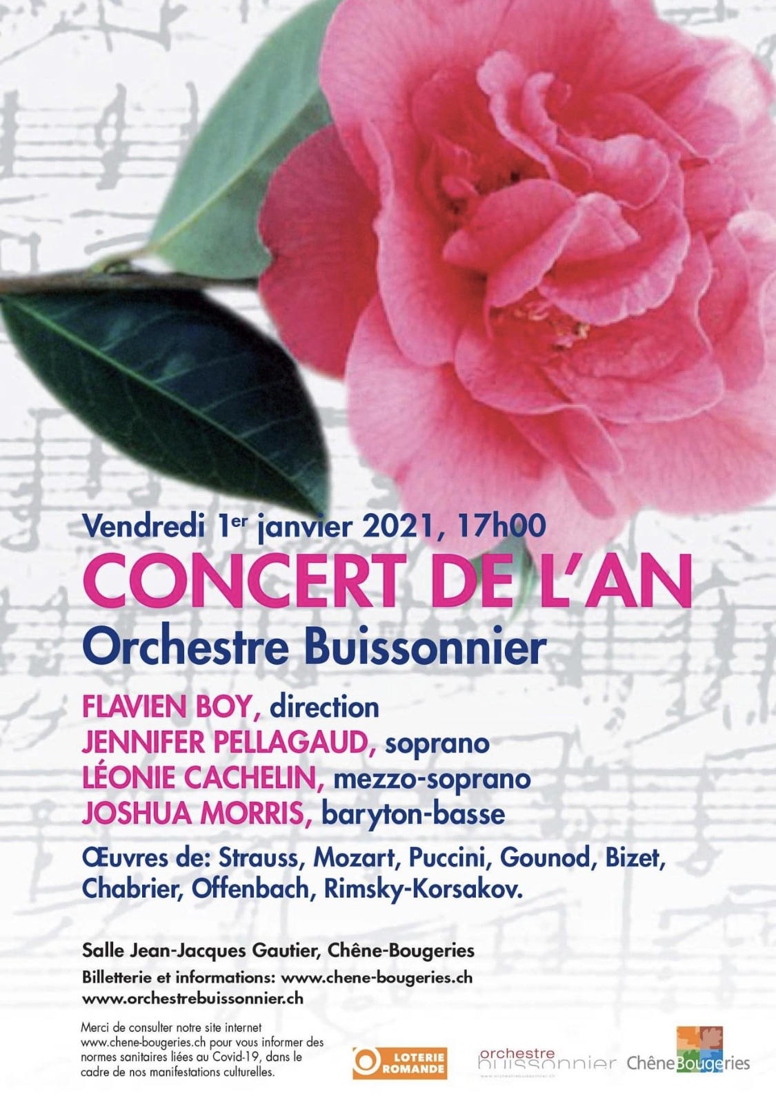 Mezzo solo - Concert de Nouvel-An - ANNULÉ